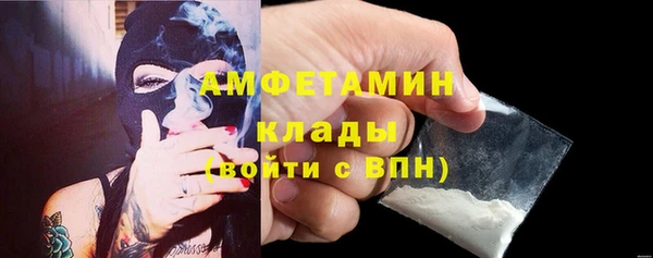 твердый Арсеньев