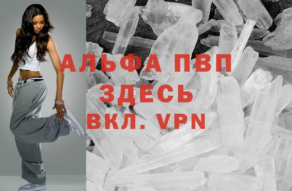 твердый Арсеньев