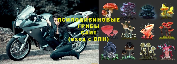 твердый Арсеньев